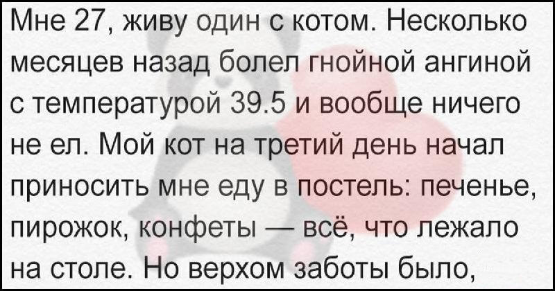 Черновик Черновик